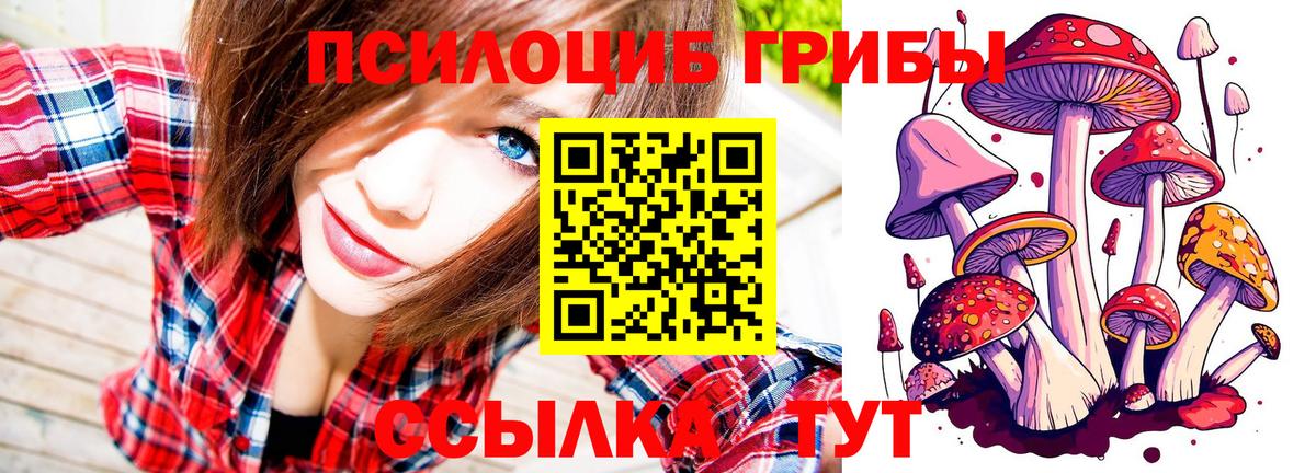 Галлюциногенные грибы прущие грибы  Вход с VPN  Всеволожск 